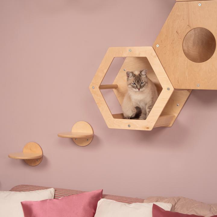 Actual product image Wowhelperco Aire de jeux murale pour chats 8 pièces (Nature)