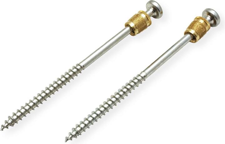Produktbild Bachmann Linsenkopfschrauben Messing (1 Schrauben pro Stück)