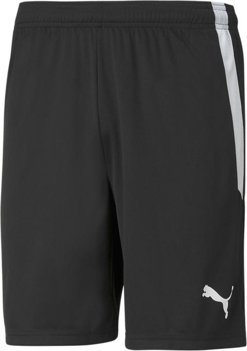 Actual product image Puma teamLIGA Shorts-704924 (M)