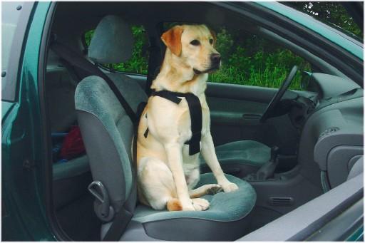 Produktbild Beeztees Bz Auto Sicherheitsgeschirr Hu (Hund, Reflektoren)