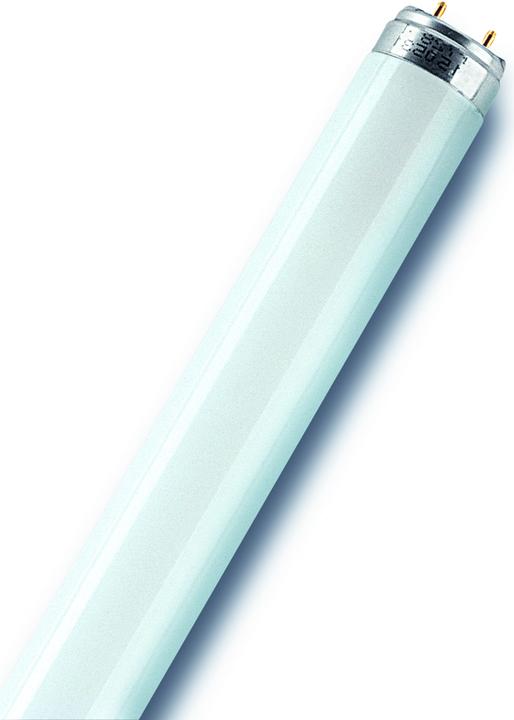 Osram Lumilux® T8 G13 38W/830 3300lm WW (G13, 38 W, 3300 lm, 1 x, G)