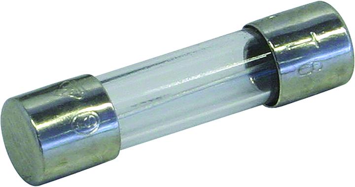 Immagine prodotto Schurter Microfusibile 10A veloce 10 pezzi (Microfusibile, 10 A, Agile)