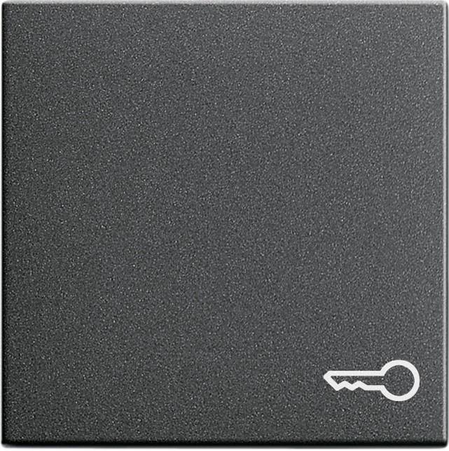 Gira Rocker Symb. Sistema 55 porta antracite 028728