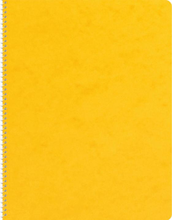 Image du produit Novooo Spiralheft assortiert (148 x 210 mm, Quadrillé)