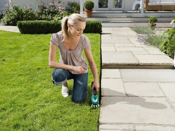 Actual product image Bosch Home & Garden AGS 7.2 LI with telescopic handle
