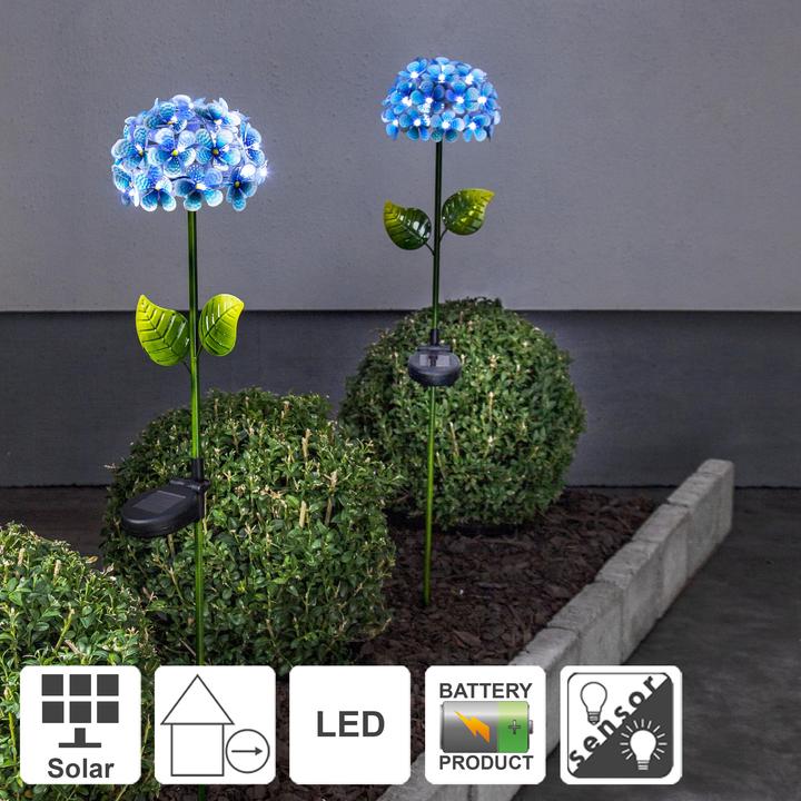 Actual product image Star Trading Hortensia (IP44)