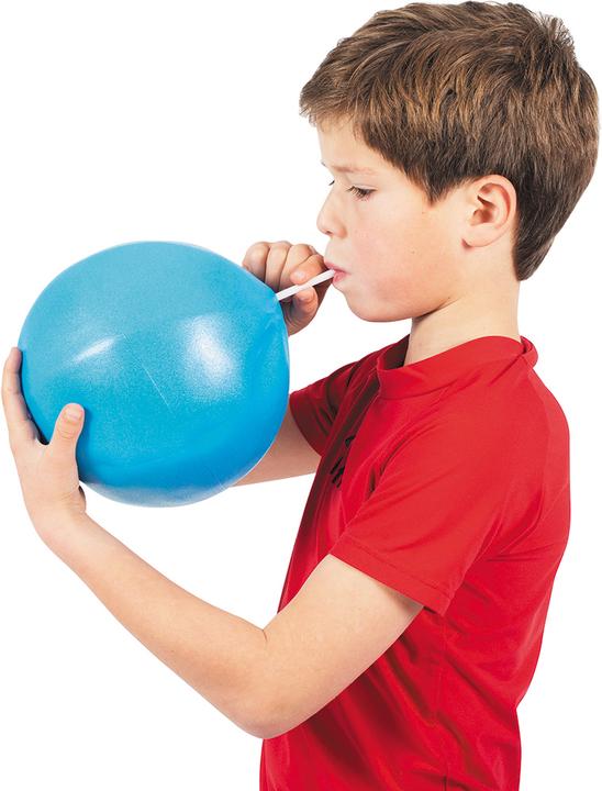 Image du produit Rubbabu Mini-Ballon De Gymnastique (25 cm)