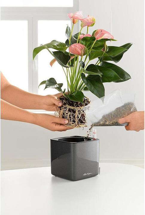 Immagine prodotto Lechuza Cube Glossy 16 (16 cm)
