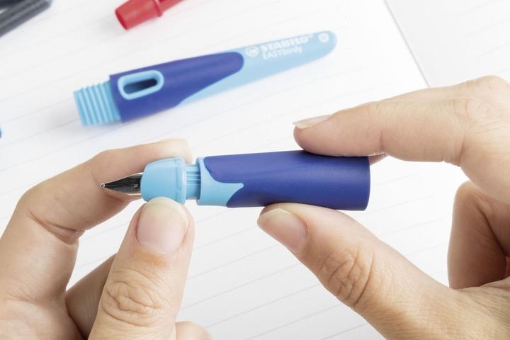 Actual product image STABILO Ergonomic school fountain pen for right-handers with beginner nib A - EASYbirdy in sky (Sky blue, Green, 1 x)