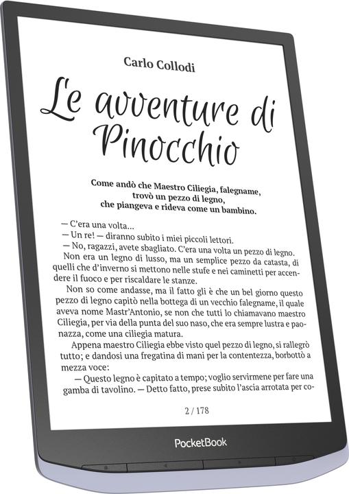 Image du produit PocketBook InkPad X (10.30", 32 Go, Gris métallique)