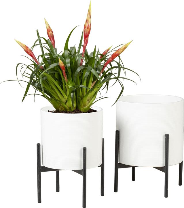 Image du produit Scheurich Piédestal 19, Pédoncule de plantes/Métallique/Blumenständer/Blumentopfständer/Postament aus M