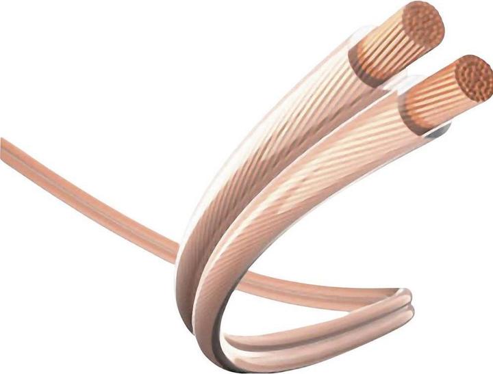 Actual product image Inakustik 2in1 (0.75 m, Cinch)