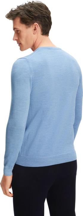 Actual product image Falke BA V-Neck m (S)