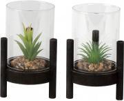 Actual product image IKO Glass with artificial cactus (Ø 10 x 15 cm)