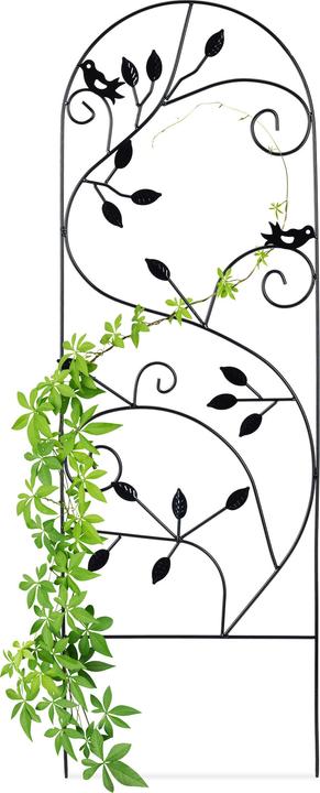Produktbild Relaxdays Rankgitter (40 cm, 0.50 cm)