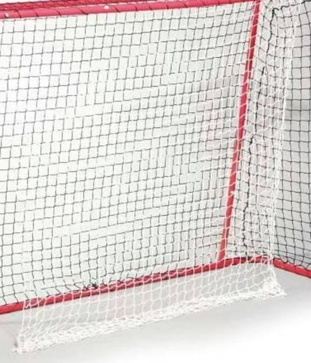 Actual product image Hudora 1 safety net (floorball)