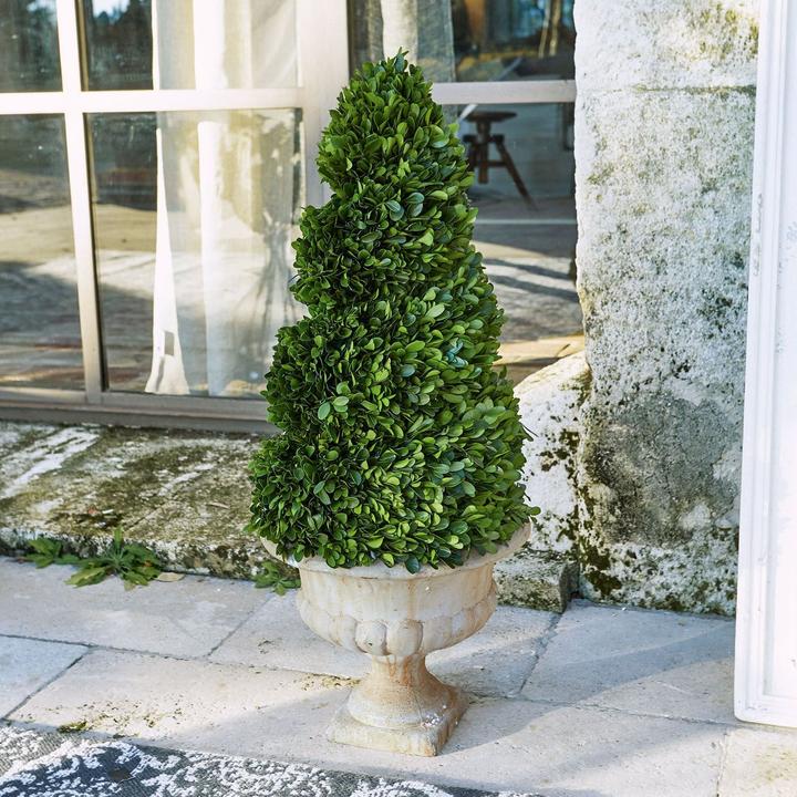 Actual product image Loberon Decorative tree Humbria green / cream (75 cm)