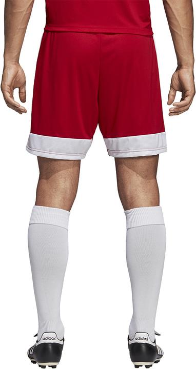 Actual product image adidas Tastigo 19 Shorts (S)
