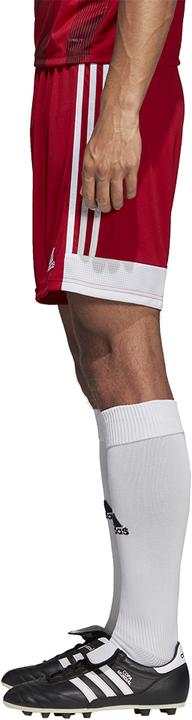 Actual product image adidas Tastigo 19 Shorts (S)