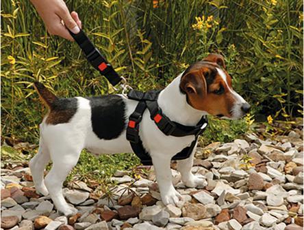 Image du produit Karlie Harnais de sécurité pour voiture en nylon (Chien, Fermeture de sécurité)