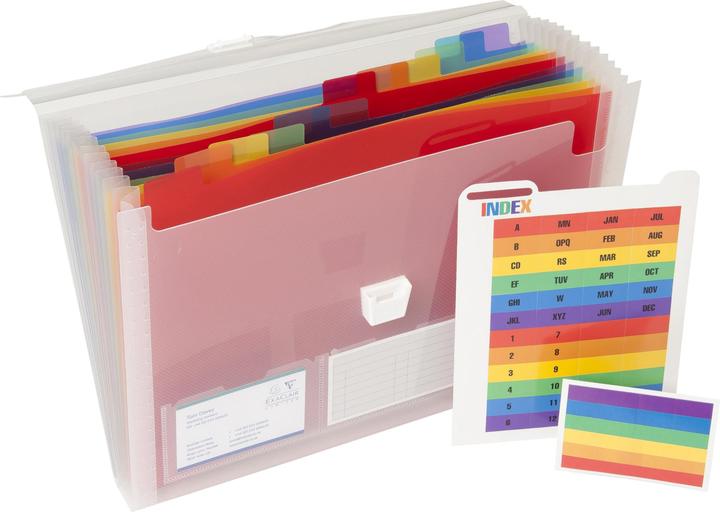 Actual product image Exacompta Crystal folder with handle (A4, 1 x)