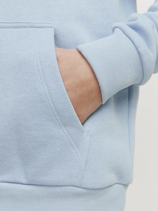 Actual product image Jack & Jones Jjecaleb Varsity Sweat Hood Noos Jnr (164)