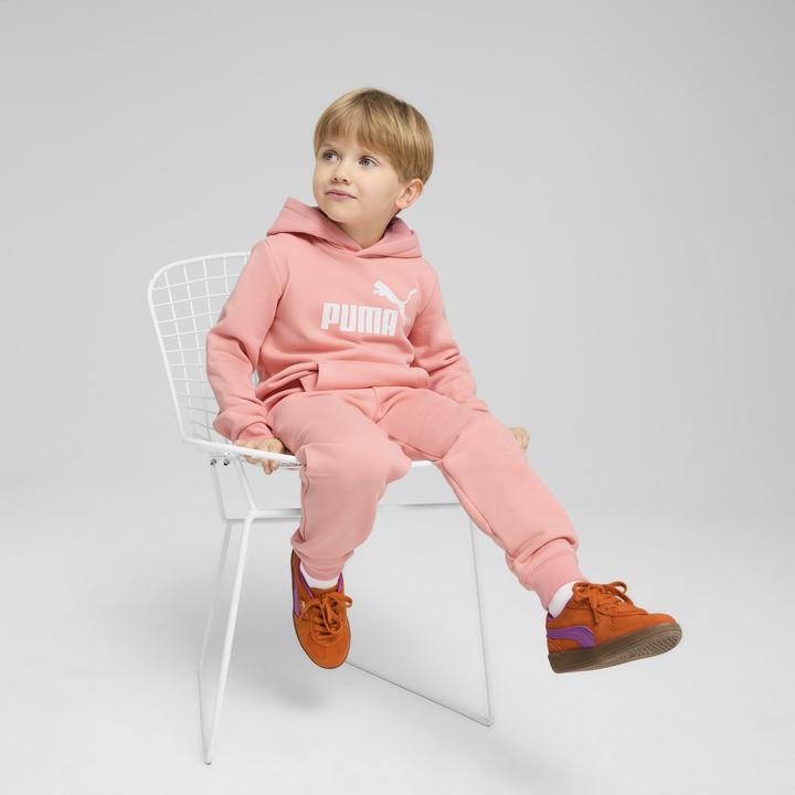 Image du produit Puma Sweat à capuche ESS No. 1 Logo FL PS (98)