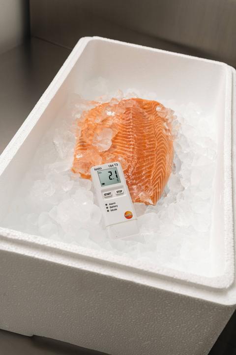 Image du produit Testo Enregistreur de données de température 184 T3 (Thermomètres)