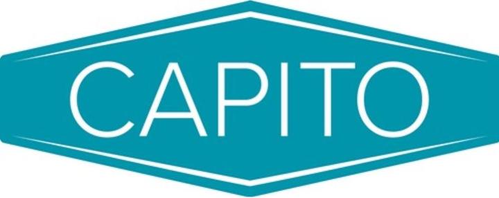 Produktbild Capito Polymeres Rad Rad-Ø 400 mm Radbreite 100 mm vollgeschäumt, inkl. Achse
