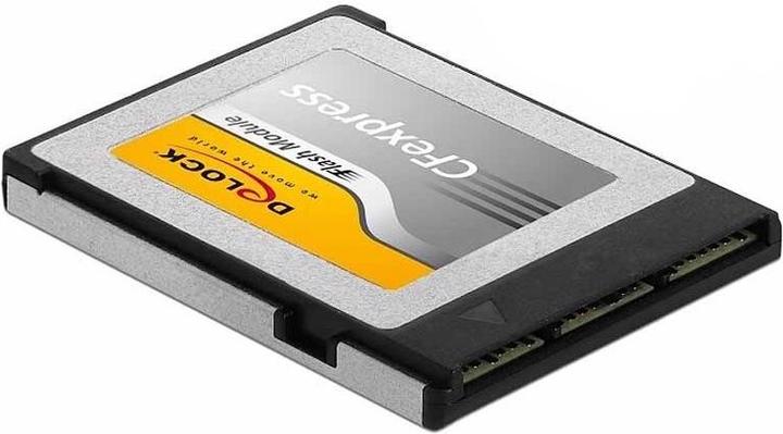 Delock 54066 (256 GB, CF)