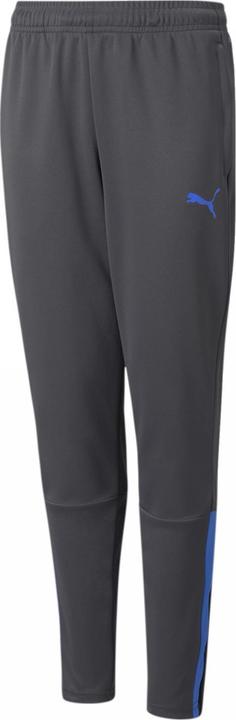 Produktbild Puma teamLIGA Training Pants Jr-657243 (176)