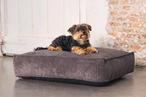 Actual product image Designed by Lotte Ribbed (Dog)