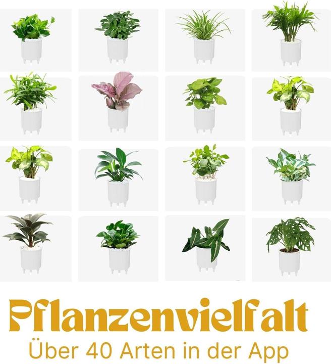 Image du produit Hermex Pot de fleurs électronique Pot de fleurs intelligent (11 cm)