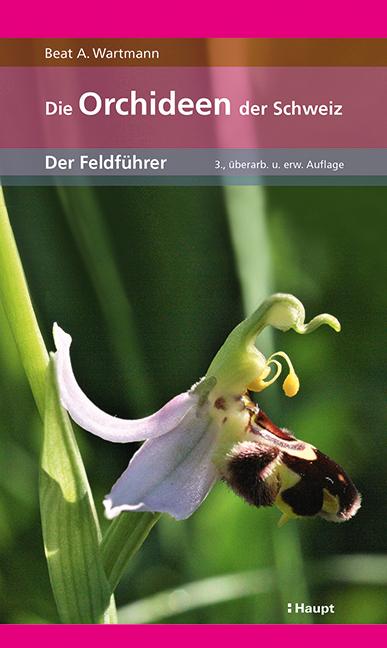 Actual product image Die Orchideen der Schweiz (German, Beat A. Wartmann, 2020)