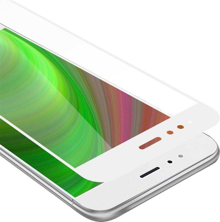 TRANSPARENT with WHITE