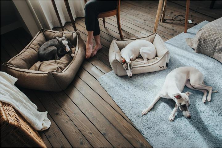 Produktbild Hunter Hundesofa Livingston Webstoff (Hund)
