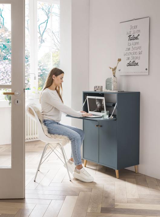 Produktbild Schildmeyer Serie 500 (65.5 x 39 x 102 cm)
