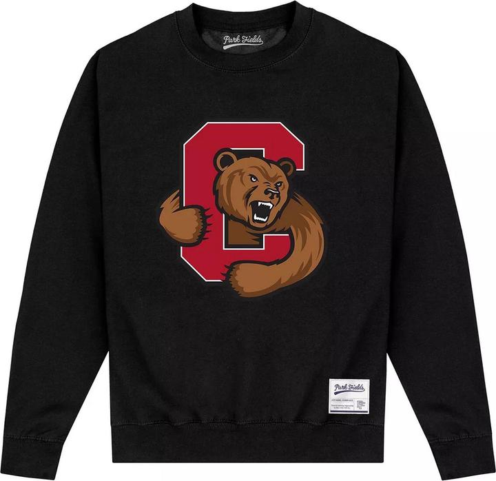 Sweatshirt (L)