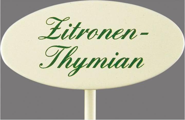 Gewürzstecker Zitronen Thymian 20 cm (20 cm, 2.40 cm)