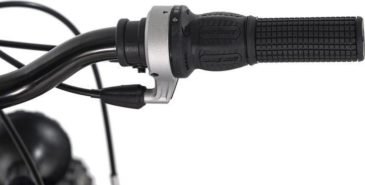 Actual product image KS Cycling Zodiac (20")