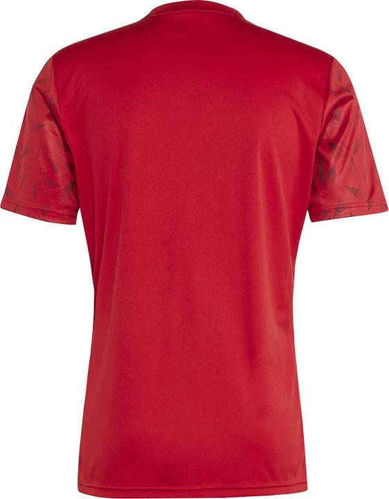 Actual product image adidas Team Icon 25 Jersey (M)