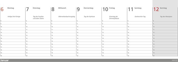 Image du produit L'agenda littéraire des chats pour la semaine 2025 (Allemand)