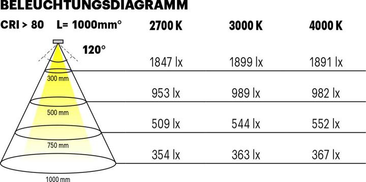 Immagine prodotto L&S Nastri LED Tudo HE 6,3 / 24 V (Bianco caldo, 750 cm, Interno)