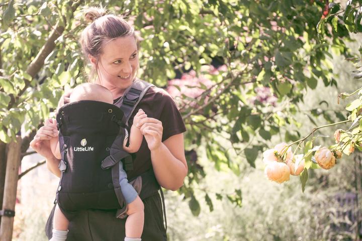 Image du produit Littlelife Acorn