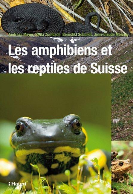 Immagine prodotto Les amphibiens et les reptiles de Suisse (Francese, Andreas Meyer, Philippe Fallot, Silvia Zumbach, Jean-Claude Monney, Benedikt R. Schmidt, 2009)