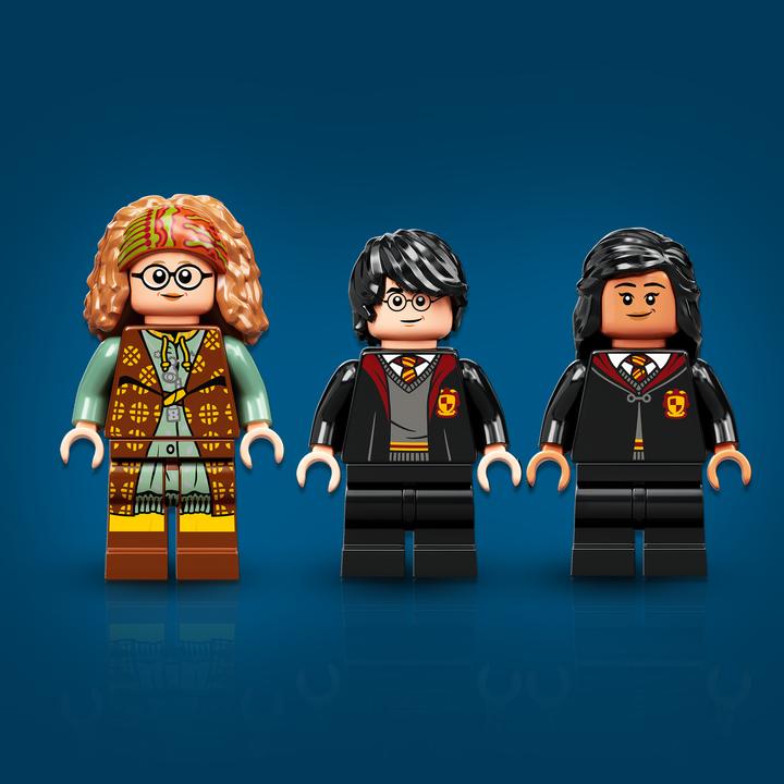 Immagine prodotto LEGO Momento Hogwarts: lezione di divinazione (76396, LEGO Harry Potter)