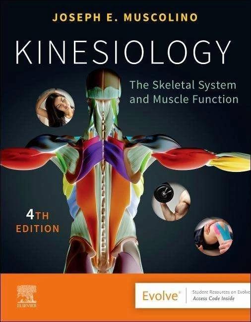 Image du produit Kinésiologie (Anglais, Joseph E. Muscolino, 2023)