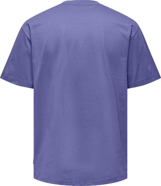 Immagine prodotto Only & Sons T-shirt a girocollo loose fit (S)
