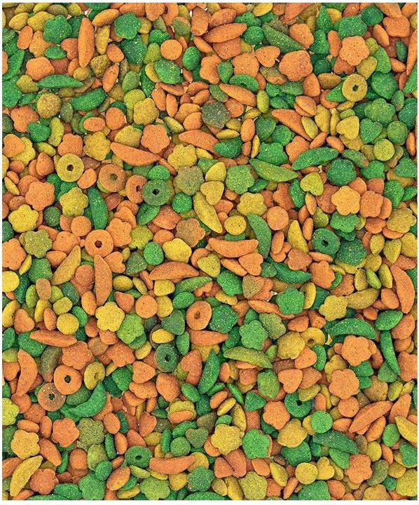 Immagine prodotto Versele Laga NutriBird P15 Tropical, alimento per perrocchetti, 1 kg (1 x, 1 kg)