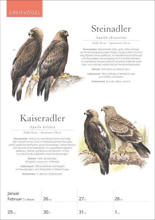 Immagine prodotto Harenberg KOSMOS Was fliegt denn da? Wochenplaner 2026 - Der Kalender zum KOSMOS-Naturführe (Tedesco)